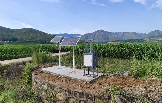 江西九江田間病蟲害監測項目